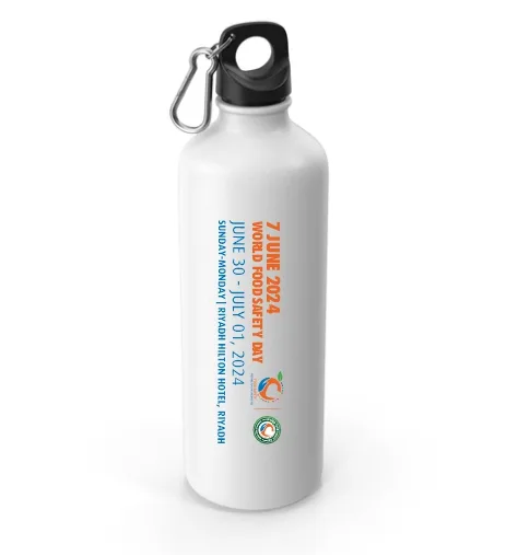 WFSD-2023 Water Bottle